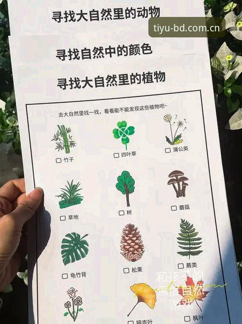 半岛体育官网新版体验使用指南：从赛程到数据的完整观察手册